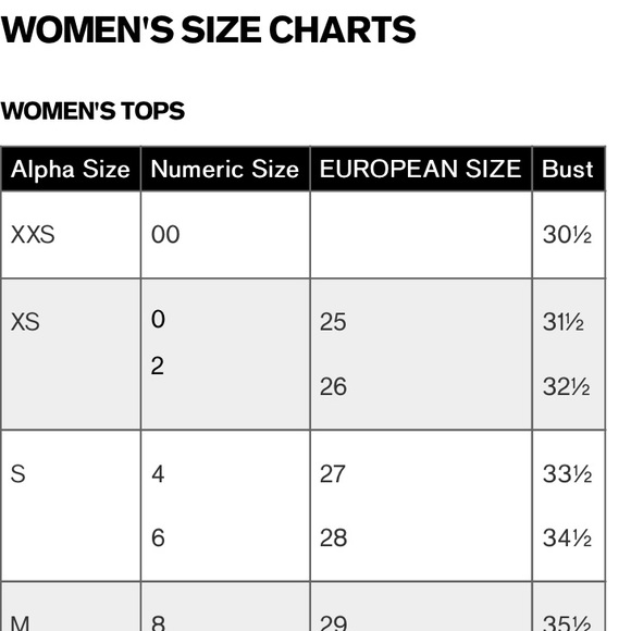 NWT Express Brushed Lace Crew New Longsleeve - Picture 5 of 5